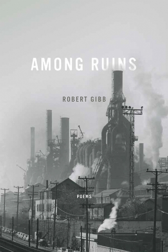 Among Ruins - Ernest Sandeen Prize Poetry (Paperback)