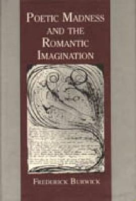 Poetic Madness and the Romantic Imagination (Hardback)