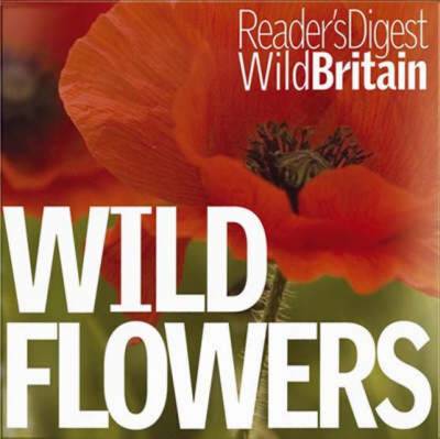 Wild Flowers - Reader's Digest Wild Britain (Paperback)