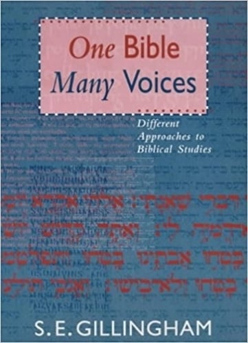 One Bible, Many Voices: Different Approaches to Biblical Studies (Paperback)