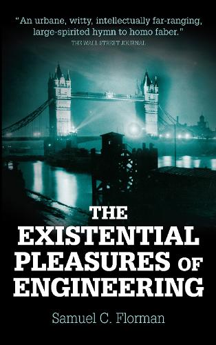 Existential Pleasures of Engineering (Paperback)