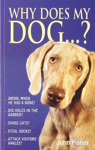 Why Does My Dog...? (Paperback)