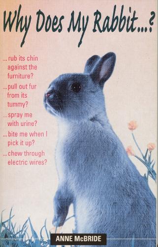 Why Does My Rabbit...? (Paperback)