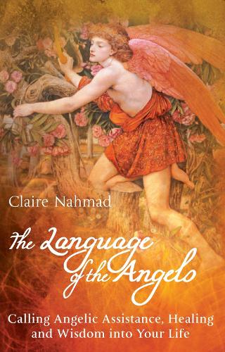 The Language of the Angels (Hardback)
