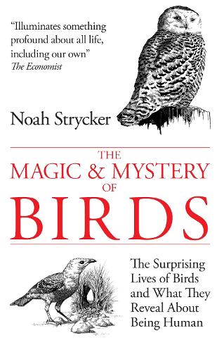 The Magic and Mystery of Birds: The Surprising Lives of Birds and What They Reveal About Being Human (Paperback)