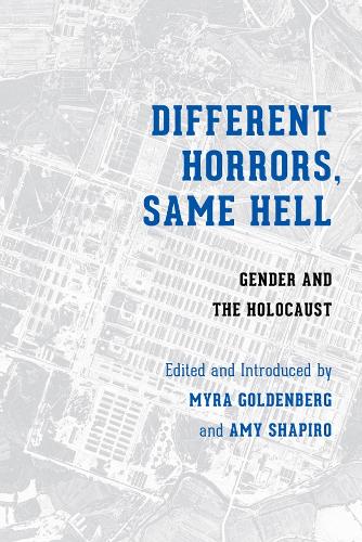 Different Horrors, Same Hell: Gender and the Holocaust - Stephen S. Weinstein Series in Post-Holocaust Studies (Hardback)