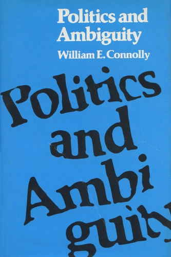 Pol & Ambiguity (Paperback)