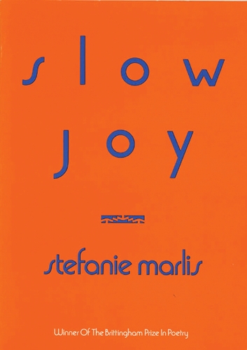 Slow Joy (Paperback)