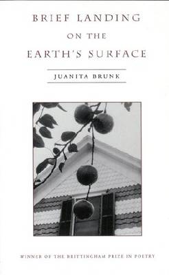 Brief Landing on the Earth's Surface (Hardback)