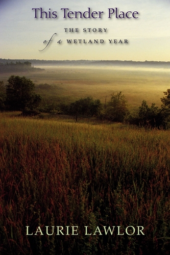This Tender Place: The Story of a Wetland Year (Hardback)