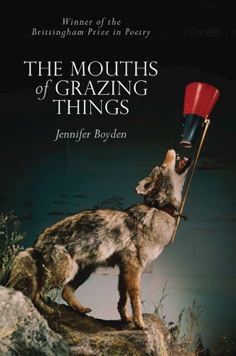 THE MOUTHS OF GRAZING THINGS (Paperback)