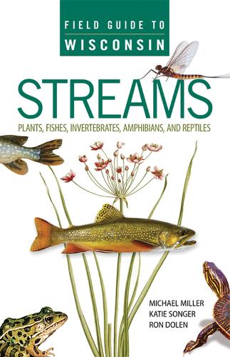 Field Guide to Wisconsin Streams: Plants, Fishes, Invertebrates, Amphibians, and Reptiles (Paperback)