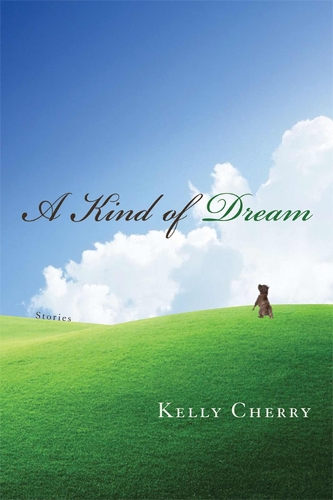 A Kind of Dream: Stories (Hardback)