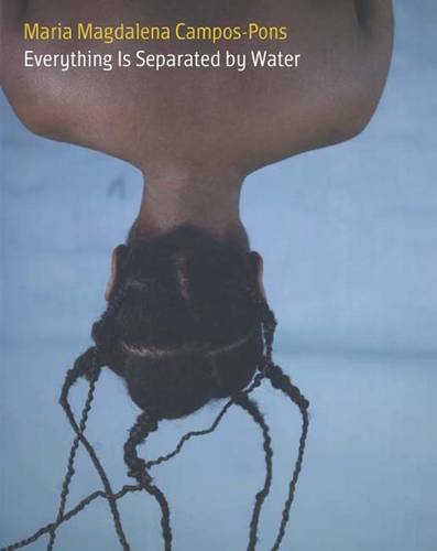 Maria Magdalena Campos-Pons: Everything Is Separated by Water (Hardback)