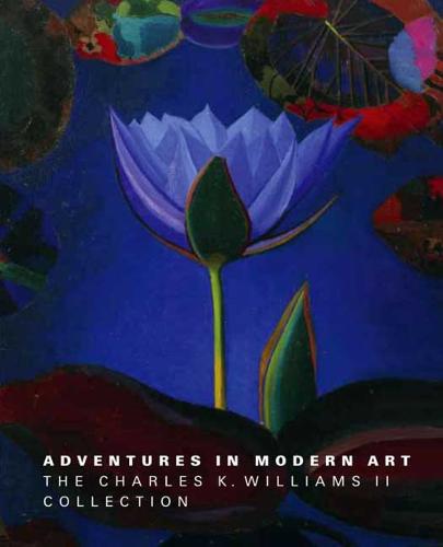 Adventures in Modern Art: The Charles K. Williams II Collection (Hardback)