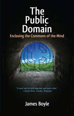 The Public Domain: Enclosing the Commons of the Mind (Paperback)