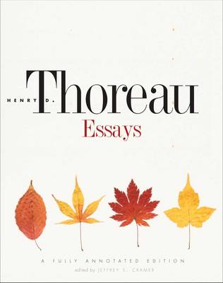 Essays (Hardback)