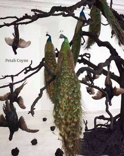 Petah Coyne: Everything That Rises Must Converge (Paperback)