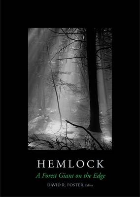 Hemlock: A Forest Giant on the Edge (Hardback)