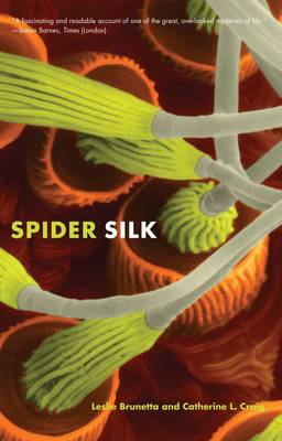 Spider Silk: Evolution and 400 Million Years of Spinning, Waiting, Snagging, and Mating (Paperback)