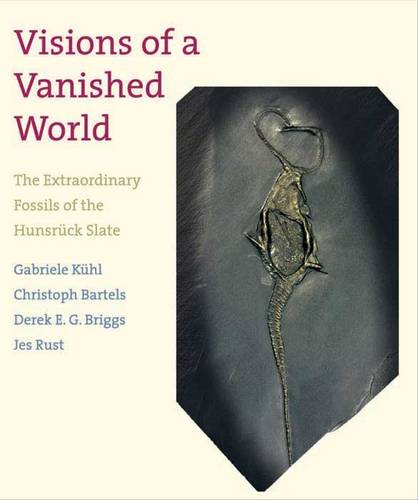 Visions of a Vanished World: The Extraordinary Fossils of the Hunsr?ck Slate (Hardback)