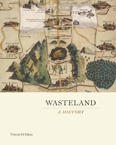 Wasteland: A History (Hardback)