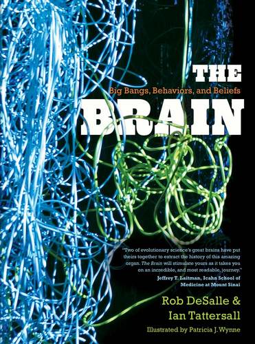 The Brain: Big Bangs, Behaviors, and Beliefs (Paperback)
