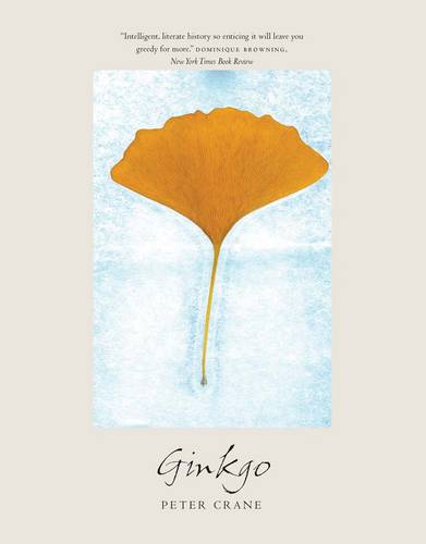 Ginkgo: The Tree That Time Forgot (Paperback)