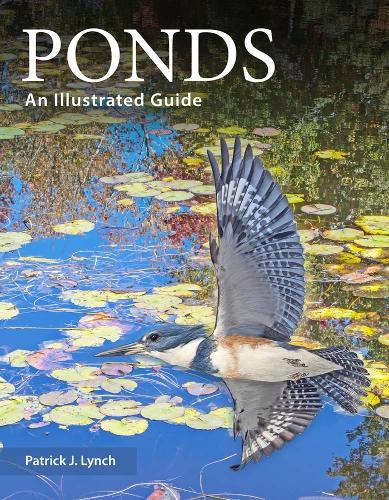 Yale University Press Ponds
