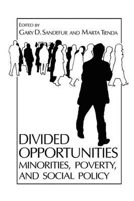 Divided Opportunities: Minorities, Poverty and Social Policy - Environment, Development and Public Policy: Public Policy and Social Services (Paperback)