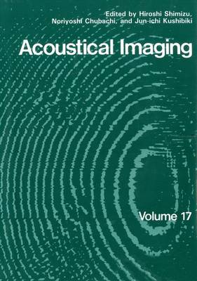 Acoustical Imaging - Acoustical Imaging 17 (Hardback)