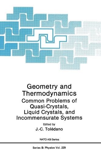 Geometry and Thermodynamics: Common Problems of Quasi-crystals, Liquid Crystals and Incommensurate Systems - Workshop Proceedings - NATO Science Series B: Physics 229 (Hardback)