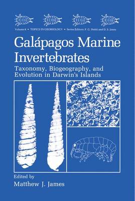 Galapagos Marine Invertebrates: Taxonomy, Biogeography, and Evolution in Darwin's Islands - Topics in Geobiology 8 (Hardback)