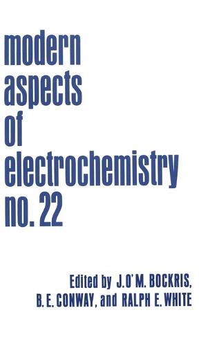 Modern Aspects of Electrochemistry: No. 22 - Modern Aspects of Electrochemistry 22 (Hardback)
