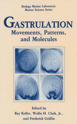 Gastrulation 1990: Movements, Patterns and Molecules - Colloquium Proceedings - Bodega Marine Laboratory Marine Science Series (Hardback)