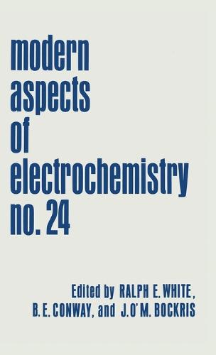 Modern Aspects of Electrochemistry: No. 24 - Modern Aspects of Electrochemistry 24 (Hardback)
