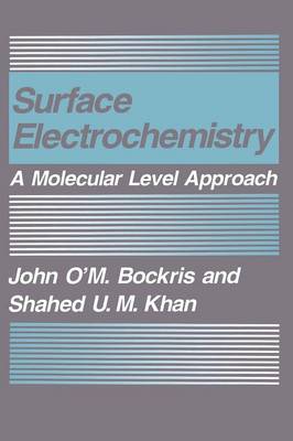Surface Electrochemistry: A Molecular Level Approach (Hardback)