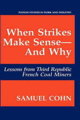 When Strikes Make Sense-And Why: Lessons from Third Republic French Coal Miners - Springer Studies in Work and Industry (Hardback)