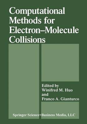 Computational Methods for Electron—Molecule Collisions (Hardback)