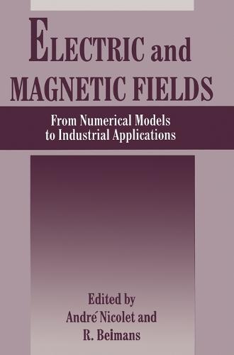 Electric and Magnetic Fields: From Numerical Models to Industrial Applications - Proceedings of the Second International Workshop Held in Leuven, Belgium, May 17-20, 1994 (Hardback)