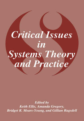 Critical Issues in Systems Theory and Practice (Hardback)