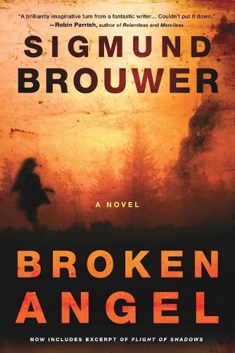 Broken Angel: A Novel (Paperback)