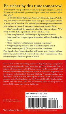 The Little Book of Big Savings: 273 Ways to Save Real Dollars in Every Budget Category (Paperback)