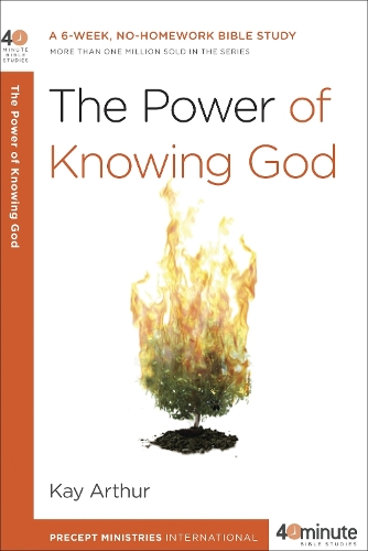 Experiencing the Character of God (Paperback)