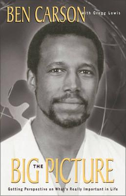 The Big Picture: Getting Perspective on What's Really Important (Paperback)
