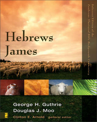 Hebrews, James - Zondervan Illustrated Bible Backgrounds Commentary No. 16 (Paperback)