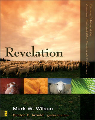 Revelation - Zondervan Illustrated Bible Backgrounds Commentary No. 22 (Paperback)