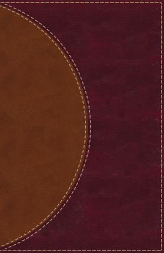 Amplified Reading Bible, Leathersoft, Brown, Thumb Indexed: A Paragraph-Style Amplified Bible for a Smoother Reading Experience (Leather / fine binding)