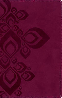 King James Version Bible for Teens (Leather / fine binding)