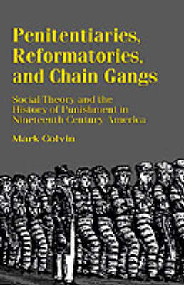 Penitentiaries, Reformatories, and Chain Gangs: Social Theory and the History of Punishment in Nineteenth-Century America (Paperback)
